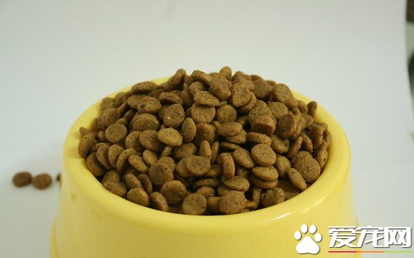 幼犬什麼時候吃干狗糧 科學的喂養狗狗才更健康