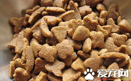 三個月的狗狗可以吃干狗糧嗎