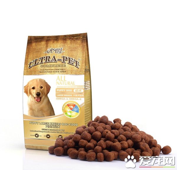 狗糧不泡能吃嗎 狗糧怎麼泡著吃最好