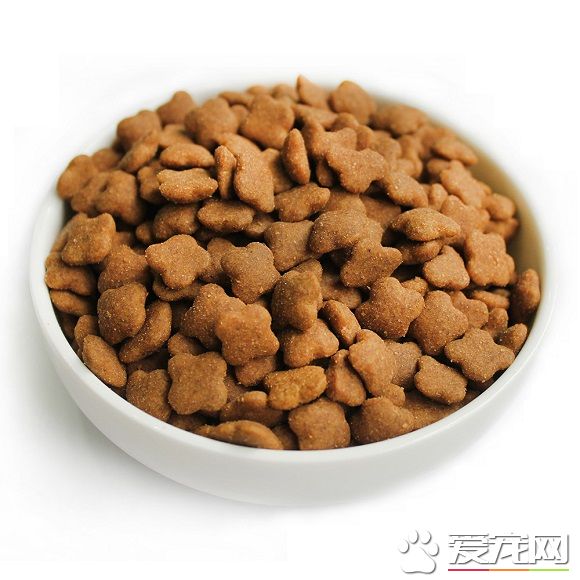 人可以吃狗糧嗎 人吃了狗糧會怎樣