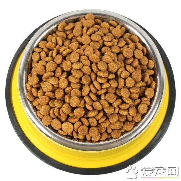 狗糧可以混著吃嗎 不同品牌最好不一起吃