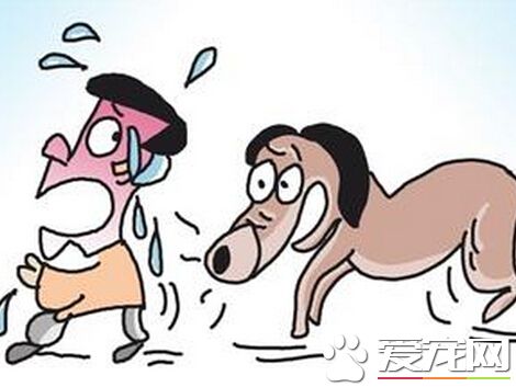 被家裡的狗咬了 及時處理傷口最重要
