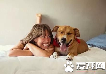 狗狗喜歡主人的表現 幾種它喜愛你的表現