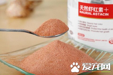 狗狗吃蝦紅素好嗎 蝦紅素並不是必須品
