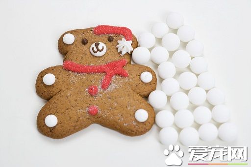 泰迪狗可以吃餅干嗎 泰迪狗吃什麼最好