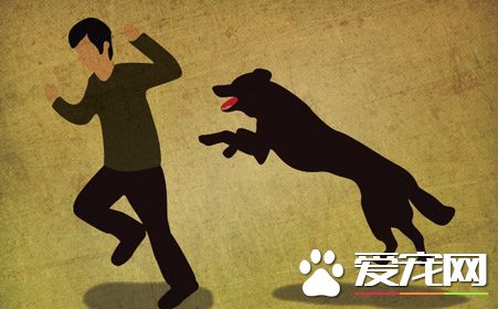 被病狗咬了怎麼辦 先及時處理傷口