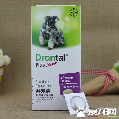 人吃的驅蟲藥能給狗吃嗎 什麼時候給狗狗吃驅蟲
