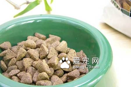 普瑞納狗糧怎麼樣 狗糧更有利於狗的成長