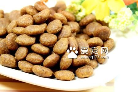 幼犬狗糧要泡嗎 狗狗長牙後不需泡了喂食