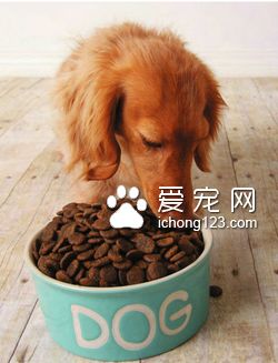 寶路狗糧多少錢一包 需要看產品的規格的