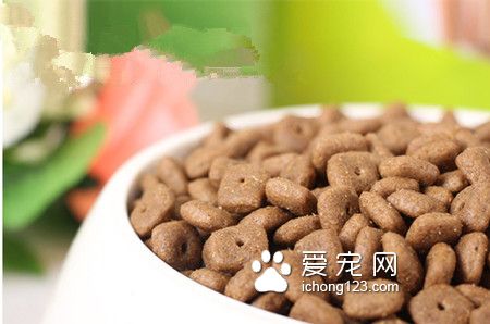 麥富迪狗糧好不好 不能用人的標准來挑選
