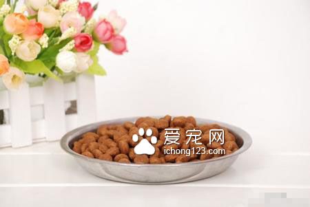 進口天然狗糧哪裡買 品牌狗糧的選擇方法