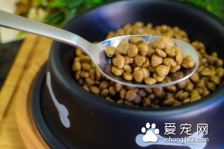 喜樂比狗糧怎麼樣 狗糧的營養相對均衡