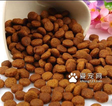 藍氏狗糧是天然糧嗎 是天然糧中名氣高的
