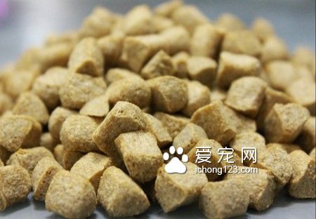 什麼狗糧適合泰迪 可自制可口的狗糧