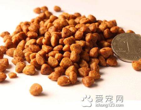 天然比瑞吉狗糧怎麼樣 天然糧價格比較高