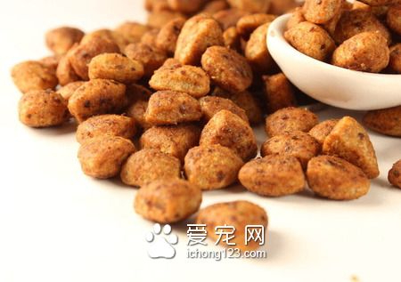 詩卡維狗糧怎麼樣 注意選擇符合狗狗口味