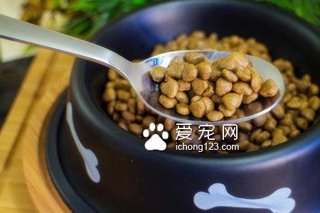 愛貝狗糧怎麼樣 狗糧的營養豐富安全