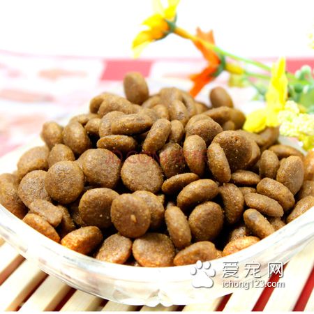 賽佰味狗糧怎麼樣 狗狗吃狗糧的4大好處