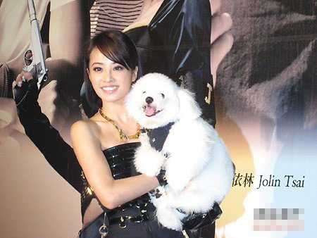 蔡依林的狗是什麼狗 是公的白色比熊犬