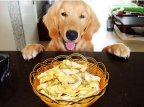 什麼牌子狗零食好 人的零食不可以給狗吃
