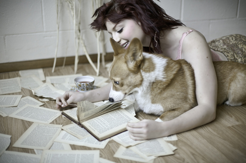 柯基犬是柯利犬嗎 兩者有何區別