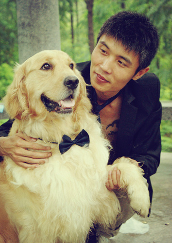 拉布拉多犬與金毛犬的區別 長毛短毛去辨別