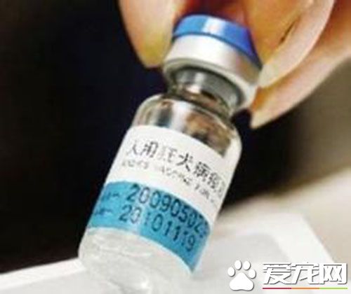 打了狂犬疫苗有什麼症狀 沒有嚴重的不良反應