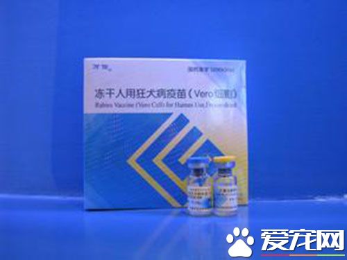 孕婦能不能打狂犬育苗 狂犬疫苗屬於滅活疫苗