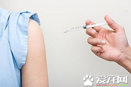 什麼情況下必須打狂犬疫苗 阻止病毒的繁殖