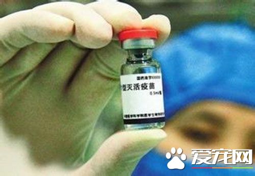 狂犬疫苗一般多少錢 人用狂犬疫苗是270到300左右