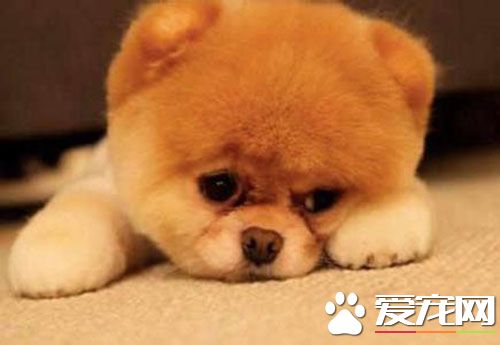 細小怎麼護理 細小護理需要注意的四個方面