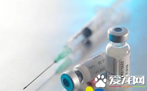 打完甲肝疫苗後發燒 要注意四周是否痛風透氣