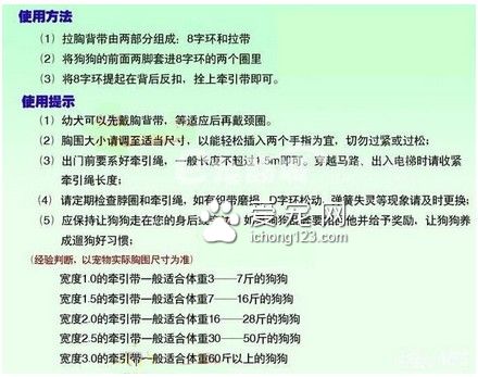 狗狗牽引繩怎麼套 牽引繩的使用方法