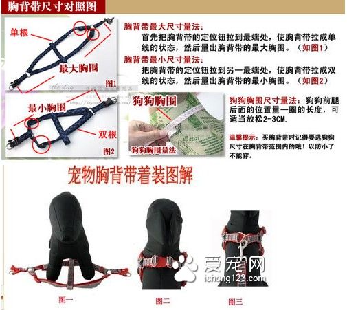 狗狗牽引繩怎麼套 牽引繩的使用方法