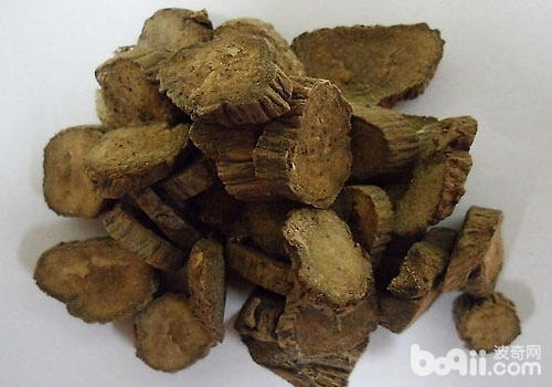 川牛膝