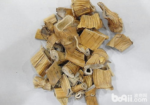 蘆根