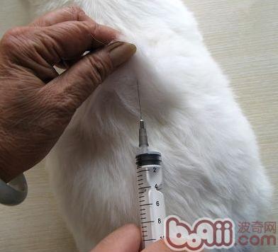 皮下注射