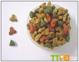 美國短毛貓吃什麼貓糧好