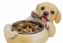 怎樣選擇合適的碗來飼養寵物