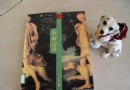 成犬期狗狗的技能小游戲,一本關於狗狗的好書