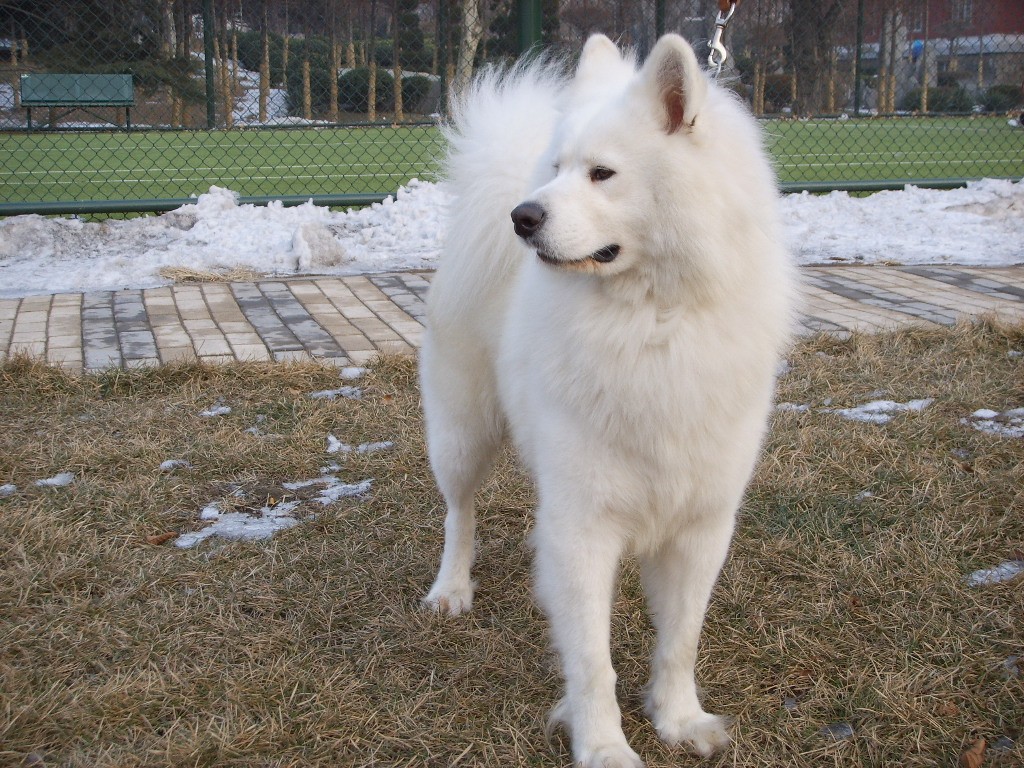 20121221055707br2142.jpg