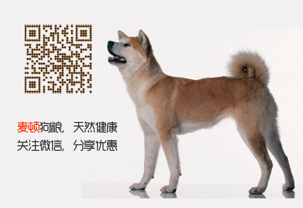 秋田.jpg