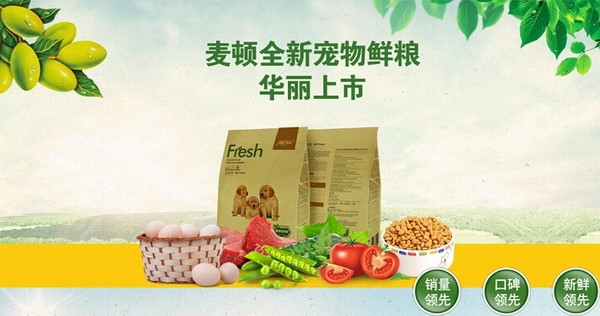 養貴賓犬需要注意哪些