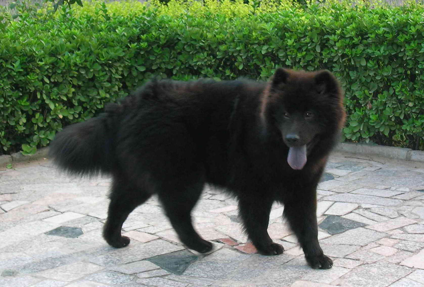 20080726_99b4d0154a5e916d446aPiLOMCvB0RFy.jpg