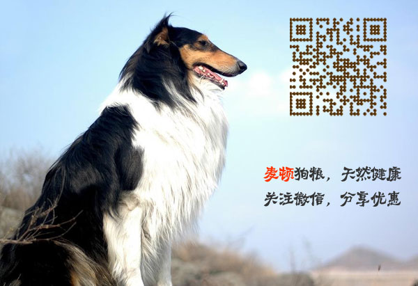 蘇牧1.jpg