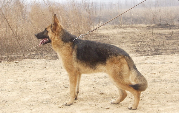 20088431040777_2.jpg