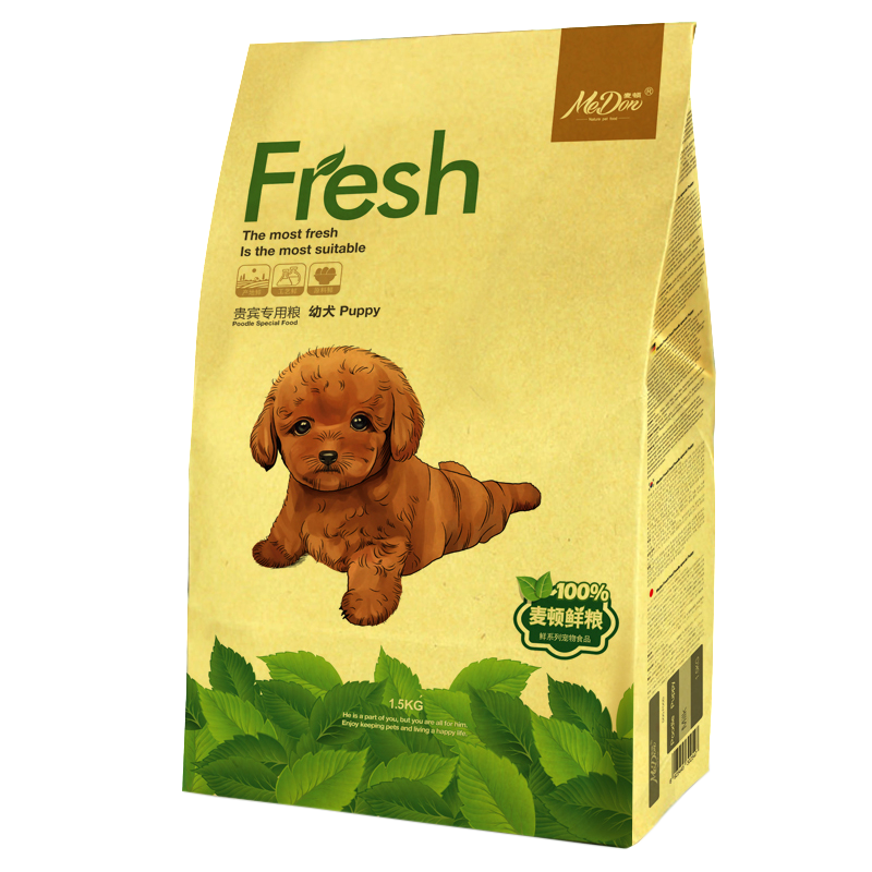貴賓幼犬-正面.png