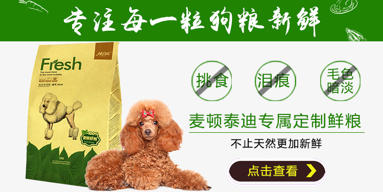 泰迪成.jpg