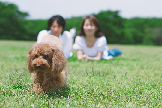 狗狗 (108).jpg